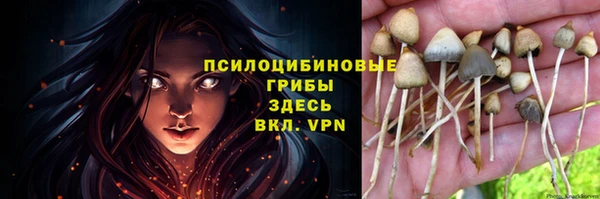 крисы Балахна