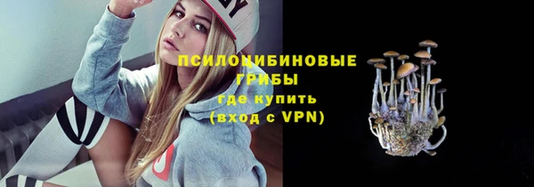 крисы Балахна