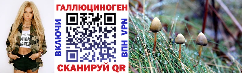 Галлюциногенные грибы прущие грибы  omg ссылки  Горнозаводск 